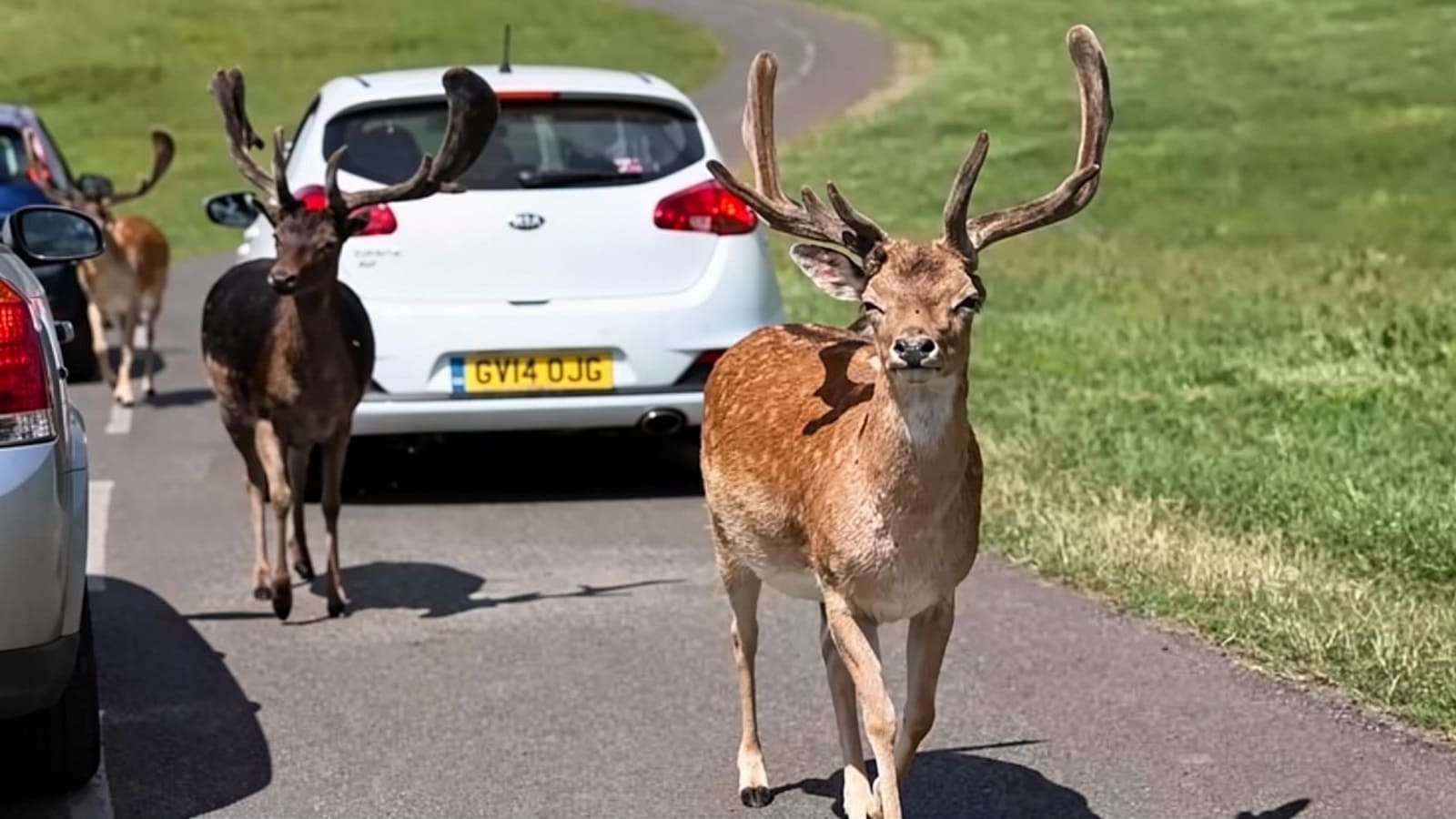 Day trips by car from Bristol